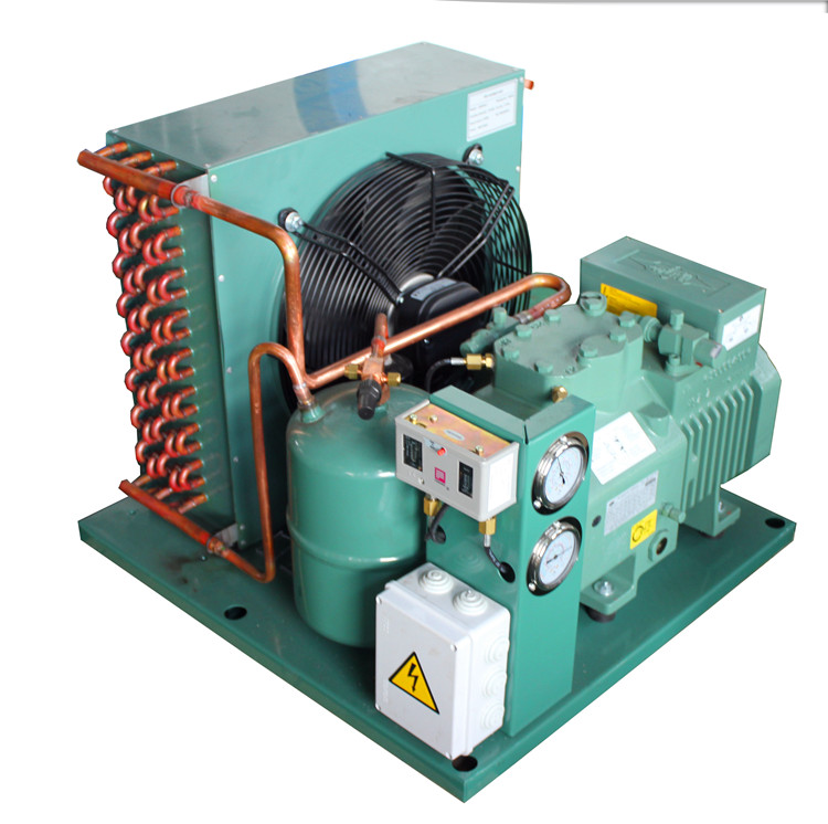 Shenglin Bitzer Compressor Condensing Refrigeration Unit